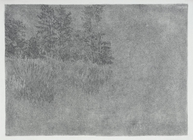 LIEUgris2