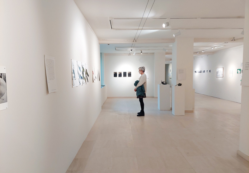 photoexpoexitesperluete3