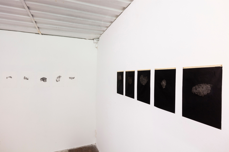 photoexpoCACLB03