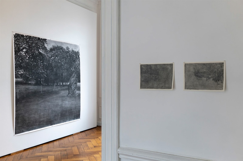 photoexpodesdessins5